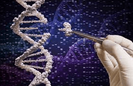 CRISPR: Unleashing the Power of Genetic Editing for a Healthier Future
