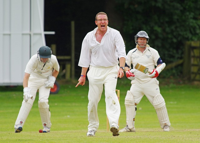 cricket-themed charity events